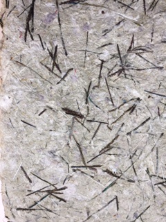 Khandroling Paper grass